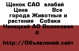Щенок САО (алабай) › Цена ­ 10 000 - Все города Животные и растения » Собаки   . Ненецкий АО,Волоковая д.